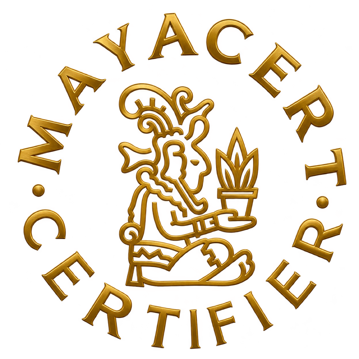 Logo CERTIMEXPNG 230x300 1 1